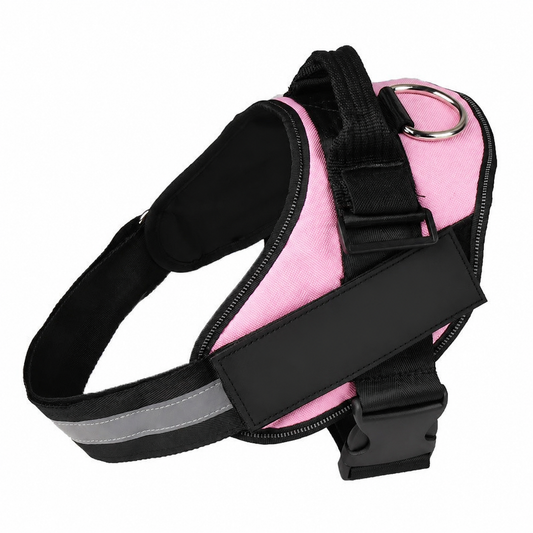 Reflective Dog Harness & Leash Set – Adjustable No-Pull Pet Chest Vest for Small to Large Dogs 🐾