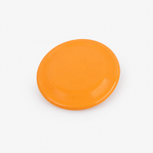 Pet Training Frisbee Toy – Lightweight Outdoor Flying Disc for Dogs 🐾