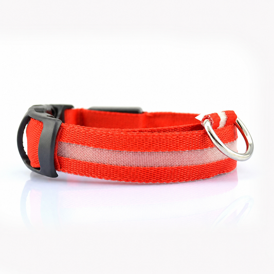 LED Light-Up Dog Collar – Adjustable Night Safety Pet Collar for Walking & Outdoor Use 🐾